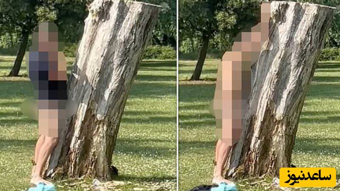 تجاوز جنسی به یک درخت