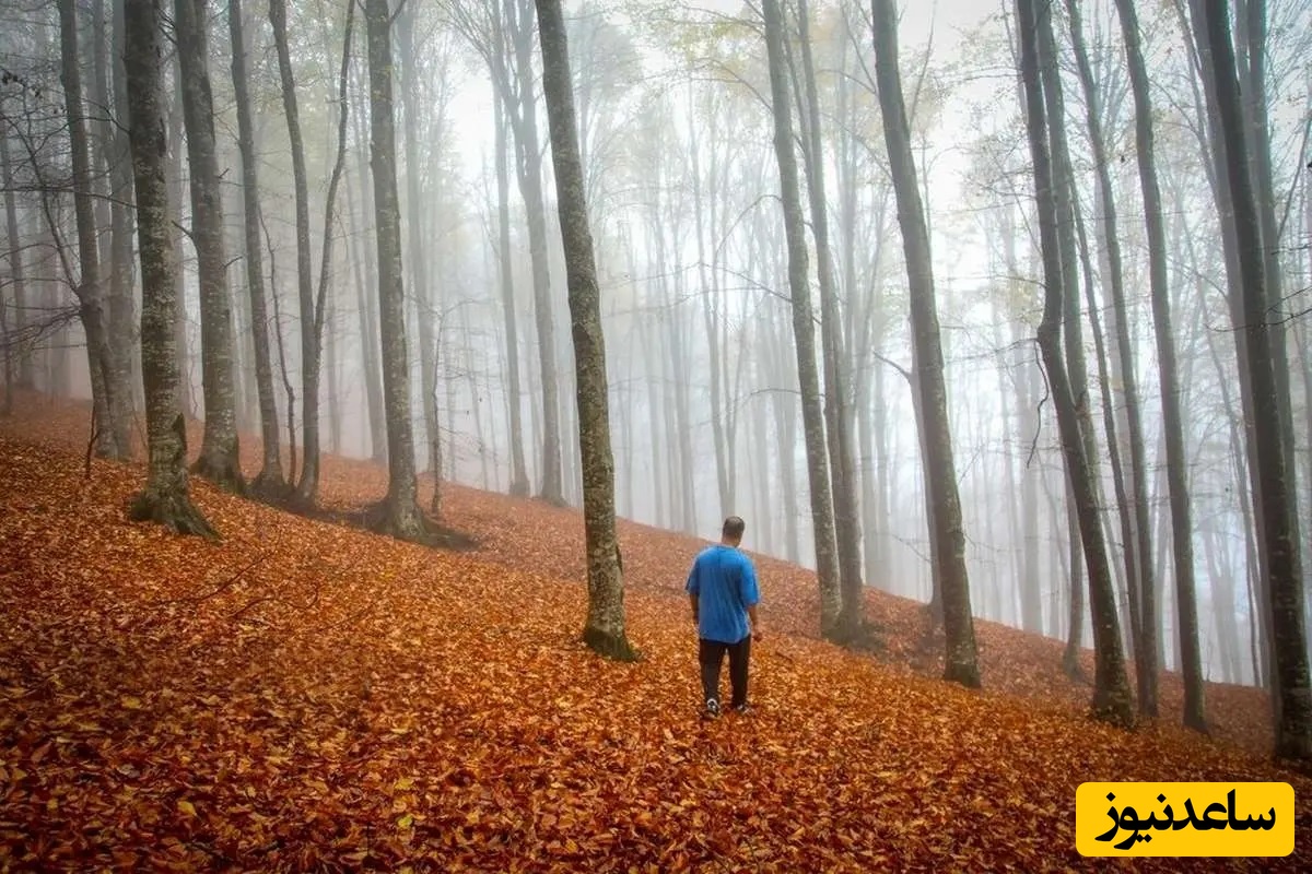 سفری خاطره انگیز به سوادکوه در دل شمال/ مقصدی برای تماشای زودترین پاییز سال/ پاییز دل انگیز امسال رو برای خودت خاطره ساز کن(ویدئو)