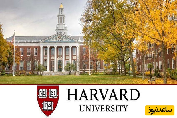 (ویدئو) نگاهی به واکنش دیدنی دانش‌آموزانی که در دانشگاه هاروارد قبول شدند! / این لحظه رو برای دانش‌آموزای ایرانی آرزو می‌کنم!🤩