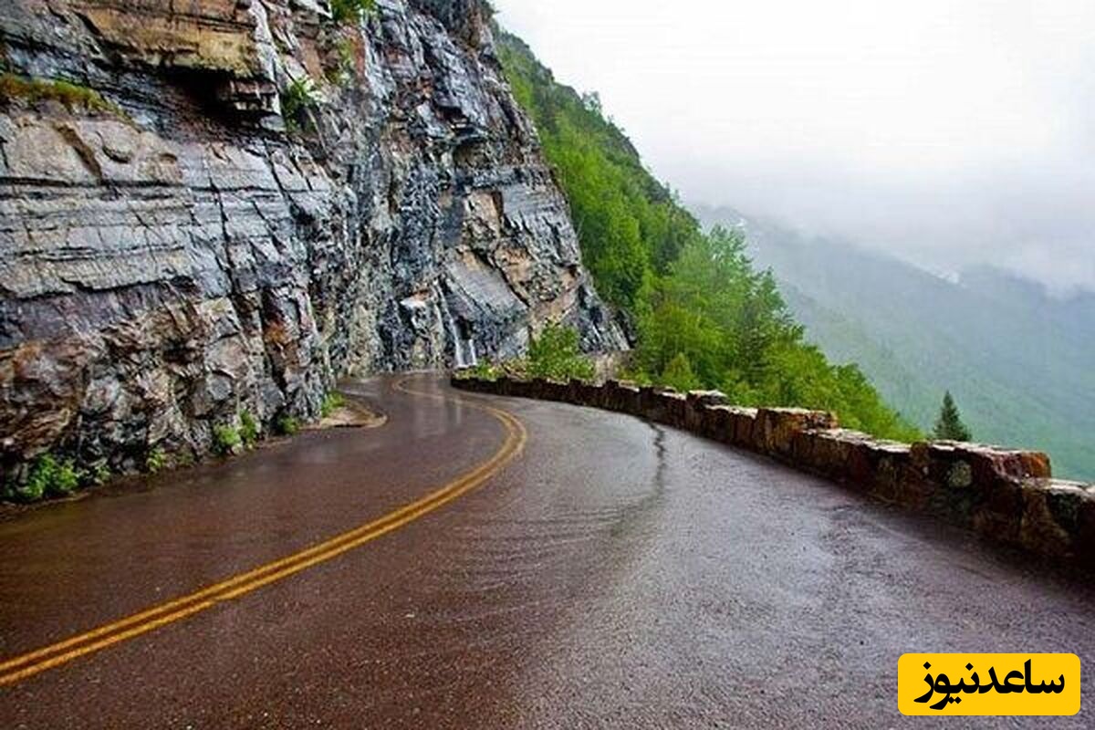 (ویدئو) این موجود وسط جاده چالوس چیکار می‌کرد؟!