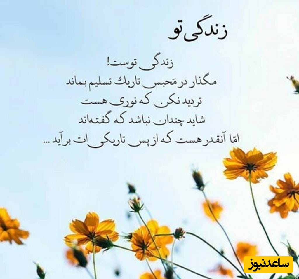 هشدار کائنات امروز برای متولدین هر ماه / گاهی برد یعنی فقط ادامه دادن، برای هر حرکت رو به جلو، با افتخار لبخند بزن و از هر عقب‌گرد، با قدرت یاد بگیر