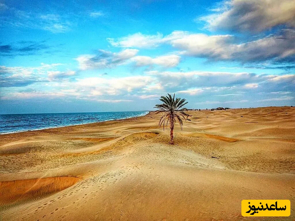 ساحل درک