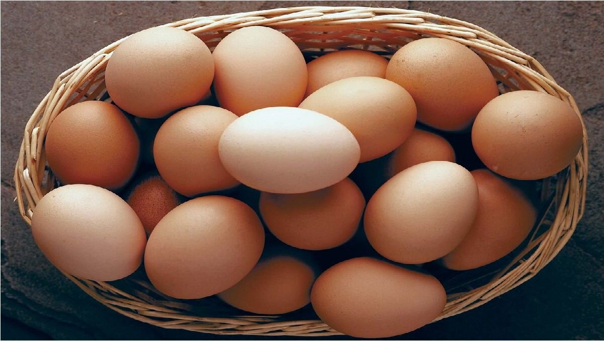 تخم مرغ بومی و فواید بی نظیر آن!