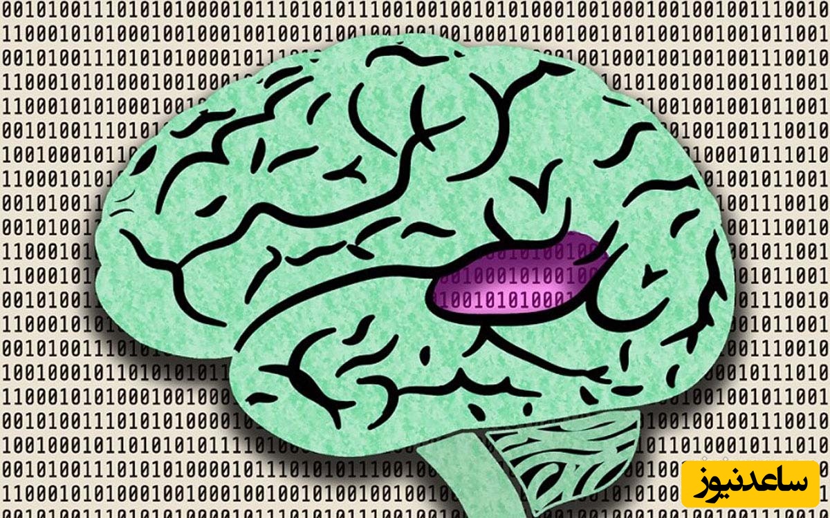 ساخت شبکه عصبی جدید