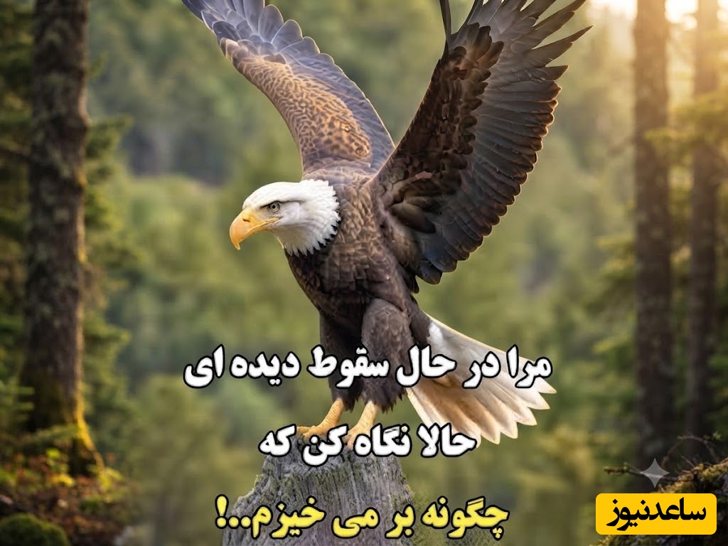 کائنات پیام ویژه ای برات داره/ به خودت سخت نگیر. تو برای کامل بودن به دنیا نیامده‌ای؛ برای زندگی کردن آمده‌ای / پیام انگیزشی امروز 26 تیر 1405 + ویدئو