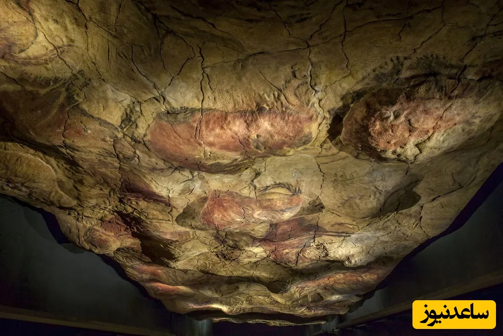 غار آلتامیرا 