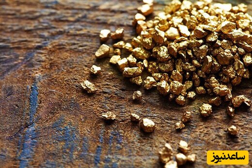 پیدا کردن شگفت انگیز کوهی از طلا در کنار یک فسیل!+ عکس