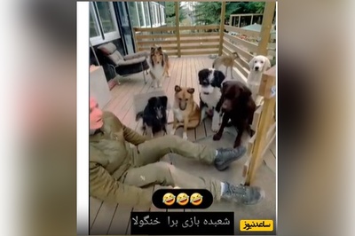 شعبده بازی برای خنگولا/ اتحاد این شکلی بین سگا تا حالا ندیدید😂+ ویدئو