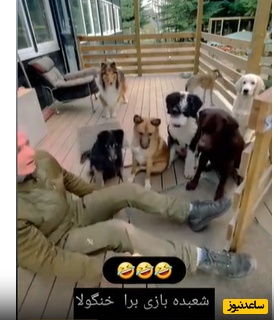 شعبده بازی برای خنگولا/ اتحاد این شکلی بین سگا تا حالا ندیدید😂+ ویدئو