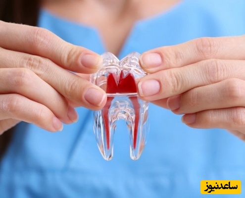 چه داروهایی مادران باردار می توانند برای دندان درد استفاده کنند؟