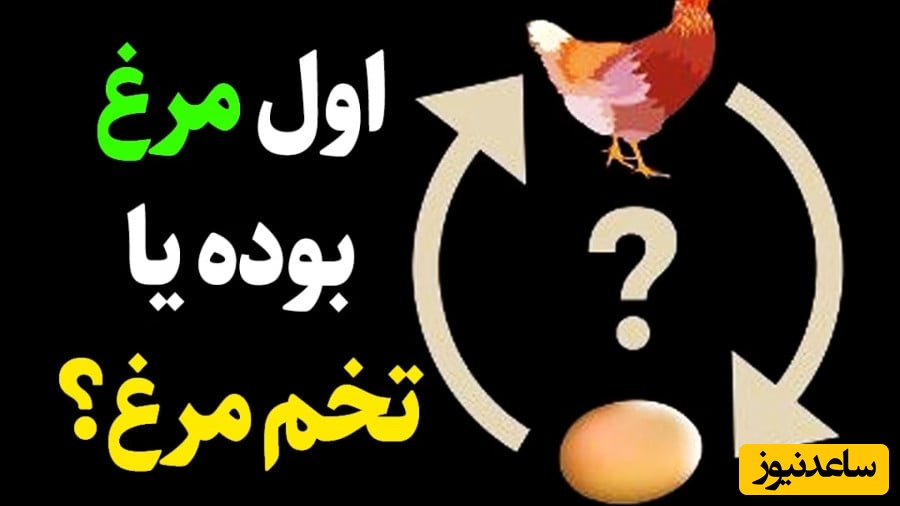 بالاخره جواب معمای عجیب "اول مرغ بود یا تخم‌مرغ؟" اعلام شد!