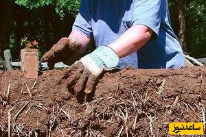 دیدن کاه گل در خواب چه تعبیری دارد؟ / تعبیر خواب کاه گل