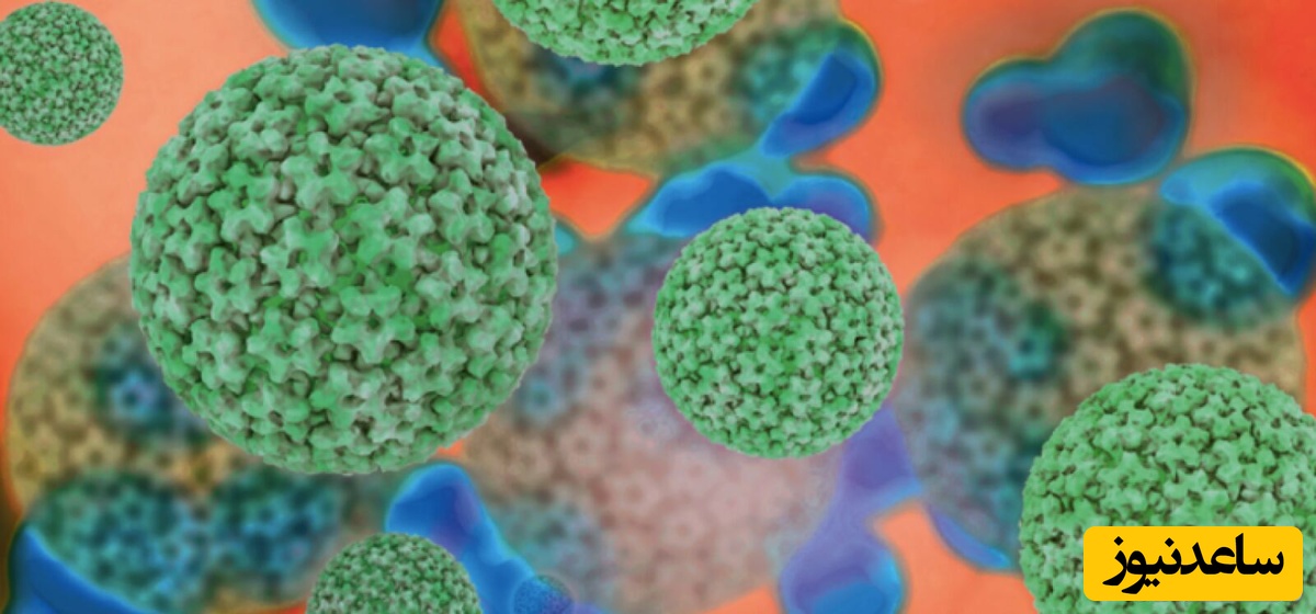 علائم و نشانه‌های HPV در مردان چیست؟