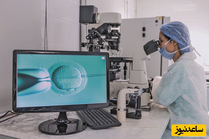 مراحل درمان ناباروری با IVF