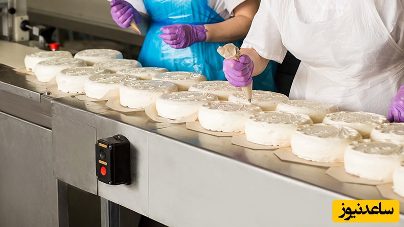 خلاقیت بامزه و منحصربفرد قنّاد تبریزی در طراحی و پخت کیک برای "دماغ عملی ها"+ عکس/ عالی بود بهتر از این نمیشد😍