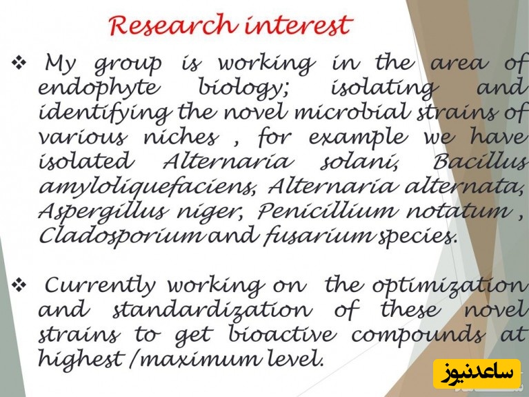 ریسرچ اینترنت