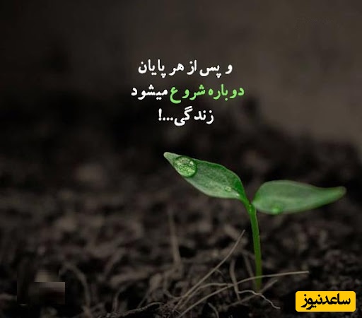 پیام امروز کائنات برای تو؛ شکست عشقی، پایان عشق نیست.گاهی فقط فصلِ جدیدی از رشدِ توست.قلبت زخمی می‌شود، اما در همان زخم، نوری می‌تابد که تا ابد درونت می‌ماند...+ ویدیو