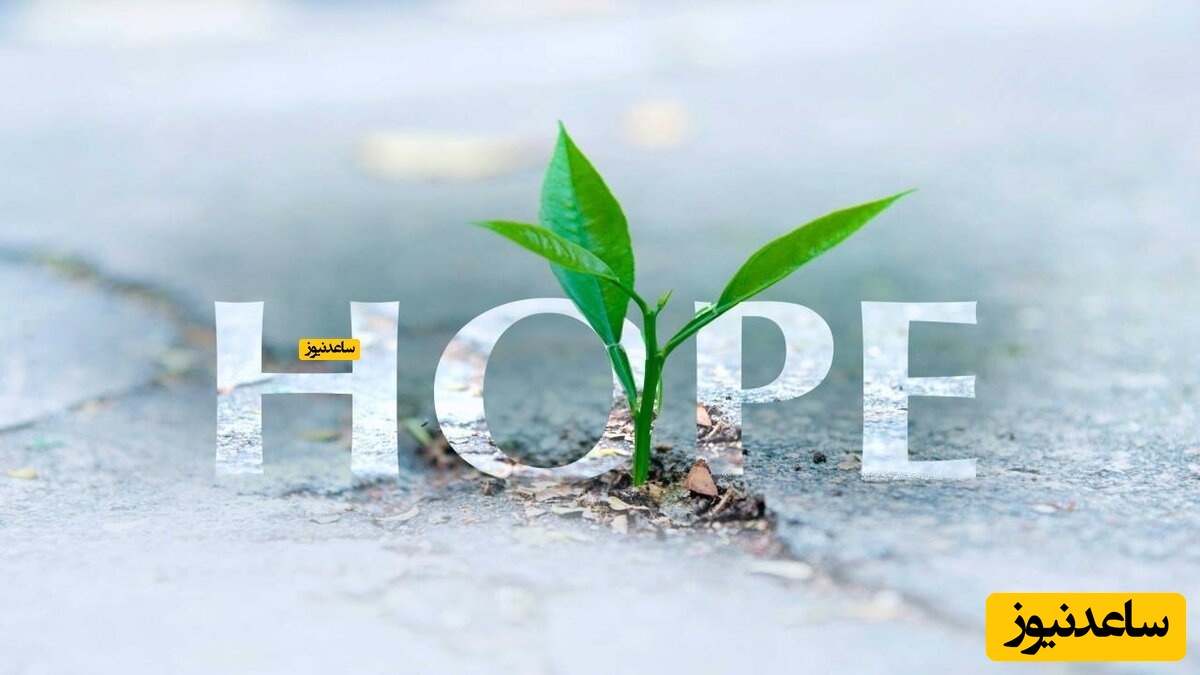 چرا باید در زندگی خود امید داشته باشیم؟