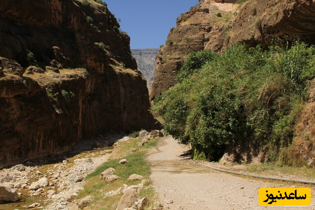 روستا و تنگه زرانگوش در کدام استان قرار داد و زیبایی های دیدنی آن چیست؟