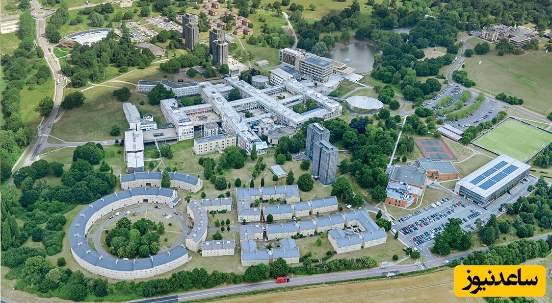 دانشگاه اسکس (University of Essex)