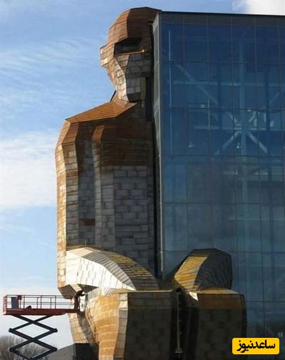 ساختمان با الهام از بدن انسان