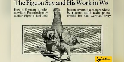 از کبوترهای جاسوس تا پهپادها: تاریخچه استفاده از حیوانات به‌عنوان تکنولوژی در زمان جنگ+ عکس