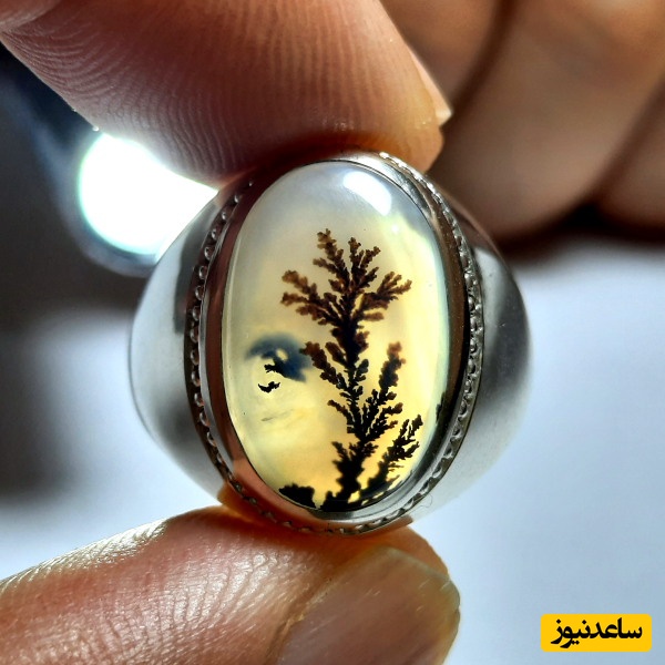 خواص شگفت‌انگیز سنگ شجر؛ گنجینه‌ای از طبیعت بر روی انگشتر شما