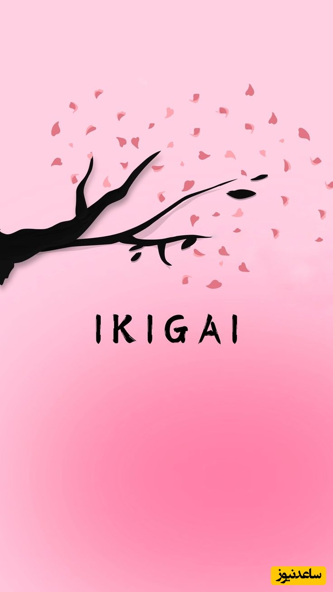 ویدئو/شش راز شگفت‌انگیز فرهنگ ژاپن برای شکست دادن تنبلی؛ از جستجوی ایگیکای تا زیبایی وابی سابی