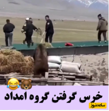 خلاقیت خنده دار گروه امداد ایرانی با دسته بیل  برای گرفتن خرس وحشی +فیلم/ کاش قسمت دوم این فیلم هم بیاد🤣
