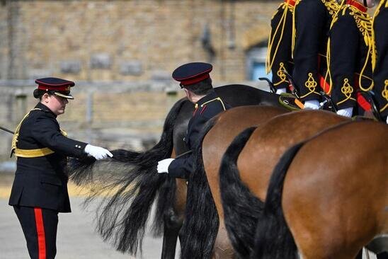 اعضای توپخانه سلطنتی انگلیس برای شرکت در مراسم تاجگذاری چارلز سوم پادشاه جدید انگلیس آماده می شوند./ رویترز