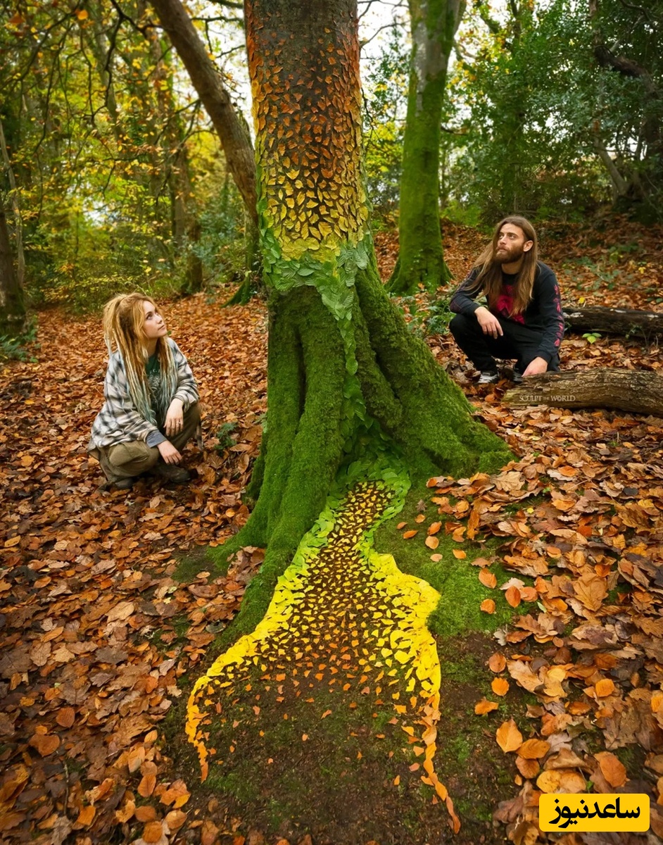 خلاقیت میخ کوب کننده  و هوش‌پران هنرمند خوش ذوق ولزی در چیدمان زیبای برگ‌های پاییزی/ شاهکاری که چشماتون رو مسحور میکنه😍