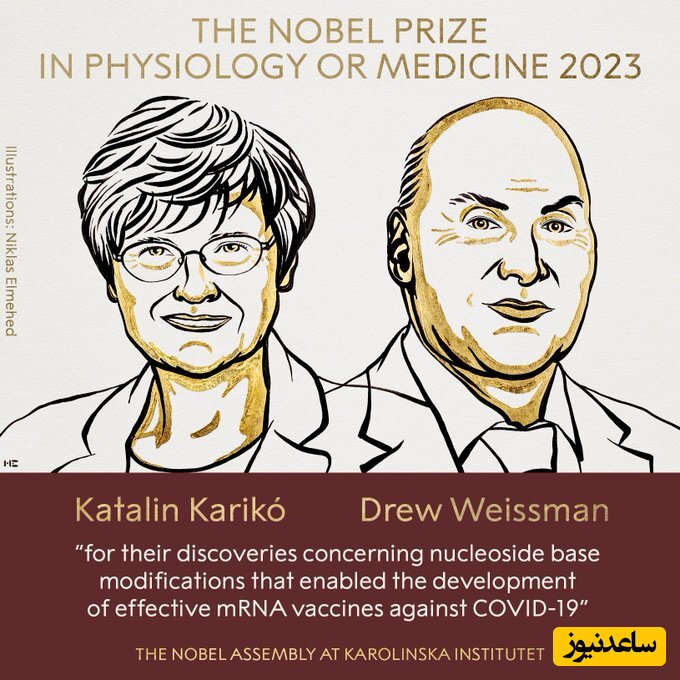برندگان نوبل پزشکی 2023 شناخته شدند