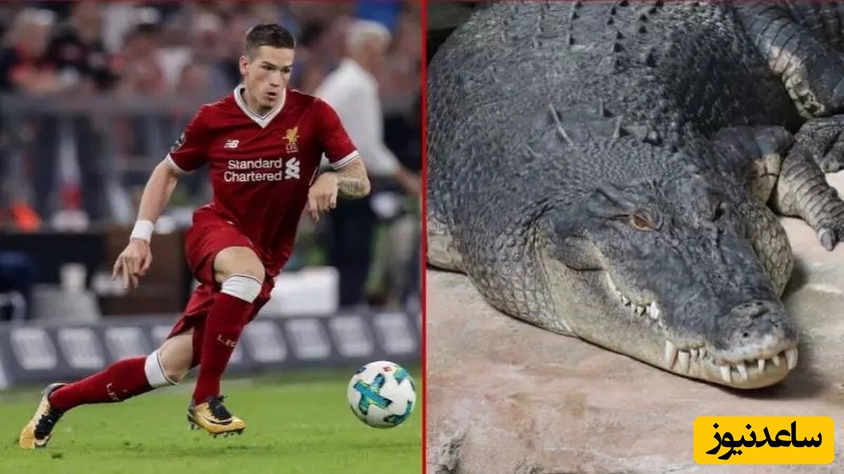 ابرستاره های فوتبال جهان نمیدانند با پول‌هایشان چکار کنند/ از خوک ستاره انگلیس تا آکواریوم کوسه ها+عکس