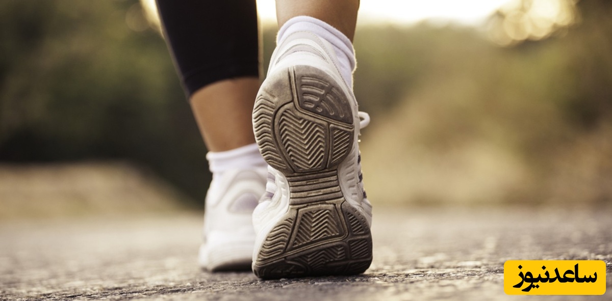 دیدن راه در خواب چه تعبیری دارد؟ / تعبیر خواب راه