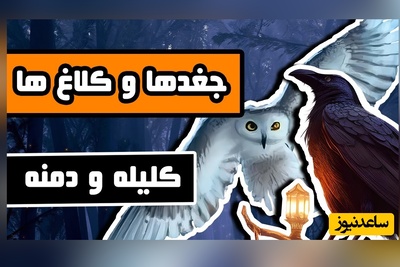 (ویدئو) حکایت پندآموز از کلیله و دمنه | درسِ خطرناکی که کلاغ زیرک به پادشاه جغدها داد؛ پیروزی با مغز، نه با چنگال!