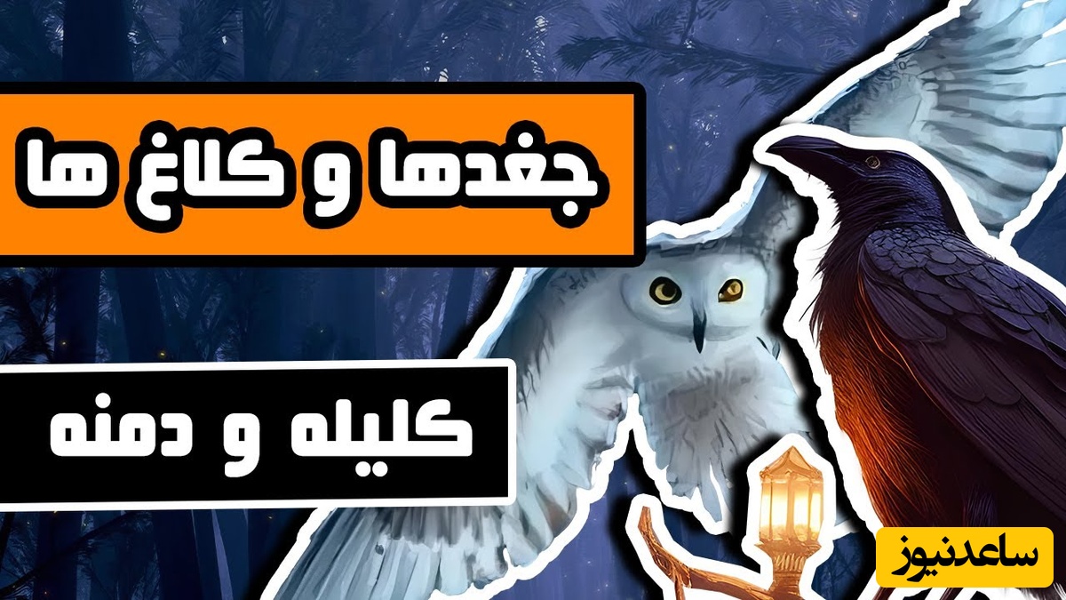 (ویدئو) حکایت پندآموز از کلیله و دمنه | درسِ خطرناکی که کلاغ زیرک به پادشاه جغدها داد؛ پیروزی با مغز، نه با چنگال!
