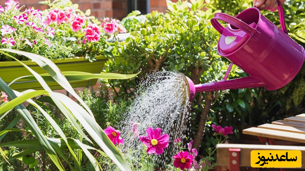 دیدن آبپاش در خواب چه تعبیری دارد؟ / تعبیر خواب آب پاش