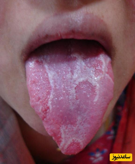 زبان جغرافیایی چیست؟