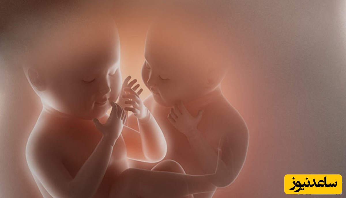 آشنایی با مراحل بارداری برای دوقلو ها