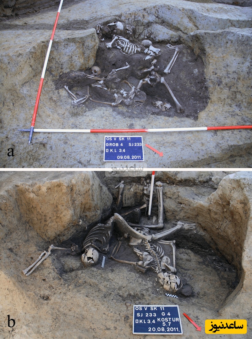 چاهSU 233/234 در مراحل مختلف کاوش، محل قرارگیری اسکلت‌ها را نشان می‌دهد: (A) اسکلت‌های شماره SK 2، SK 3 و SK 4؛ (B) اسکلت‌های شماره SK 5 و SK 7 