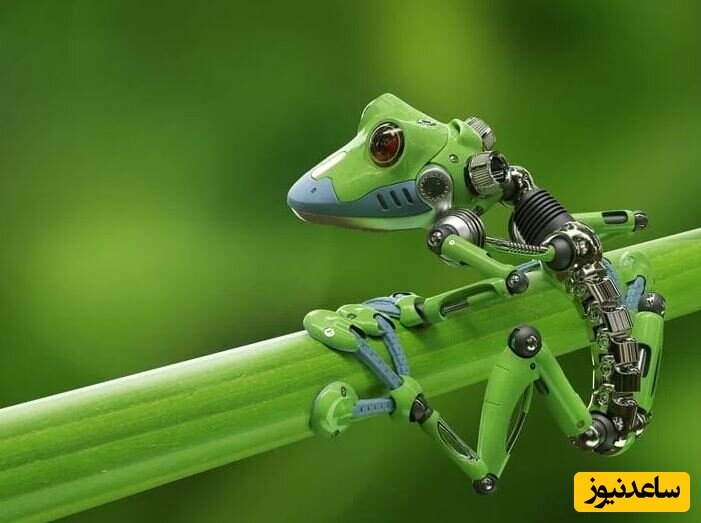 این ربات‌های زنده با الهام از جانوران طراحی شده‌اند +ویدئو