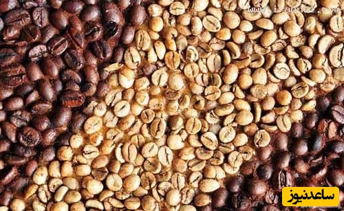 دیدن دانه در خواب چه تعبیری دارد؟ / تعبیر خواب دانه