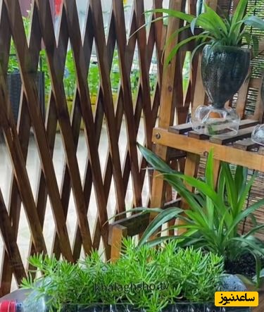 خلاقیت مشاغل؛ ابتکار منحصربفرد هنرمند خلاق برای درست کردن گلدان/ دیگه هزینه آنچنانی برای خرید گلدان نده /این فقط خلاقیت نیست، یه جور تله‌ی سحرآمیز برای چشم‌هاست! 👁️✨