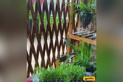 خلاقیت مشاغل؛ ابتکار منحصربفرد هنرمند خلاق برای درست کردن گلدان/ دیگه هزینه آنچنانی برای خرید گلدان نده /این فقط خلاقیت نیست، یه جور تله‌ی سحرآمیز برای چشم‌هاست! 👁️✨