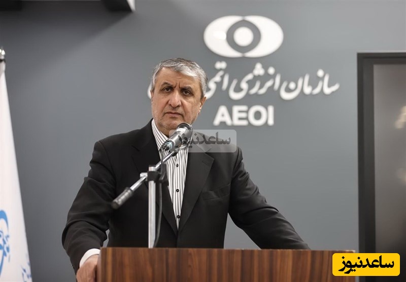 اسلامی: چارچوب همکاری ایران با آژانس، قانون مجلس است