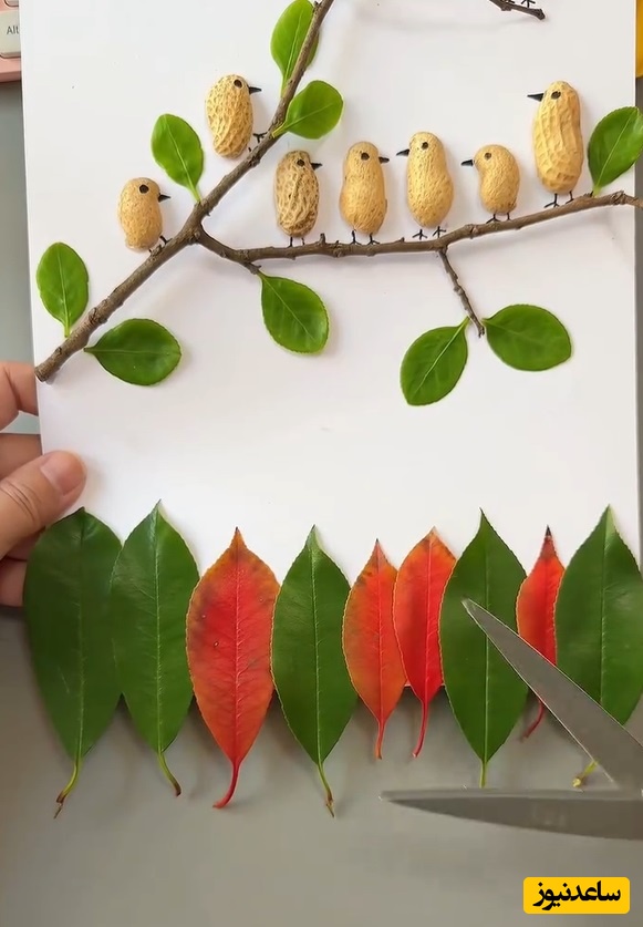 زنگ خلاقیت: اگه تو هم عاشق طبیعتی این ویدئوی خلاقانه رو ببین و بهار رو مستقیم بیار تو خونت+ فیلم