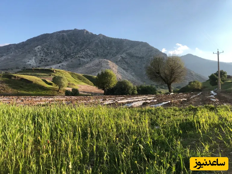 عکس از: سایت Google Maps