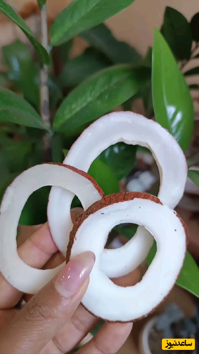 نارگیل خشک خانگی