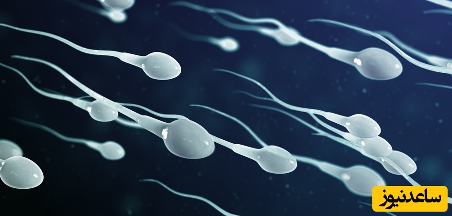 علت تغییر رنگ و غلظت اسپرم یا منی چیست؟