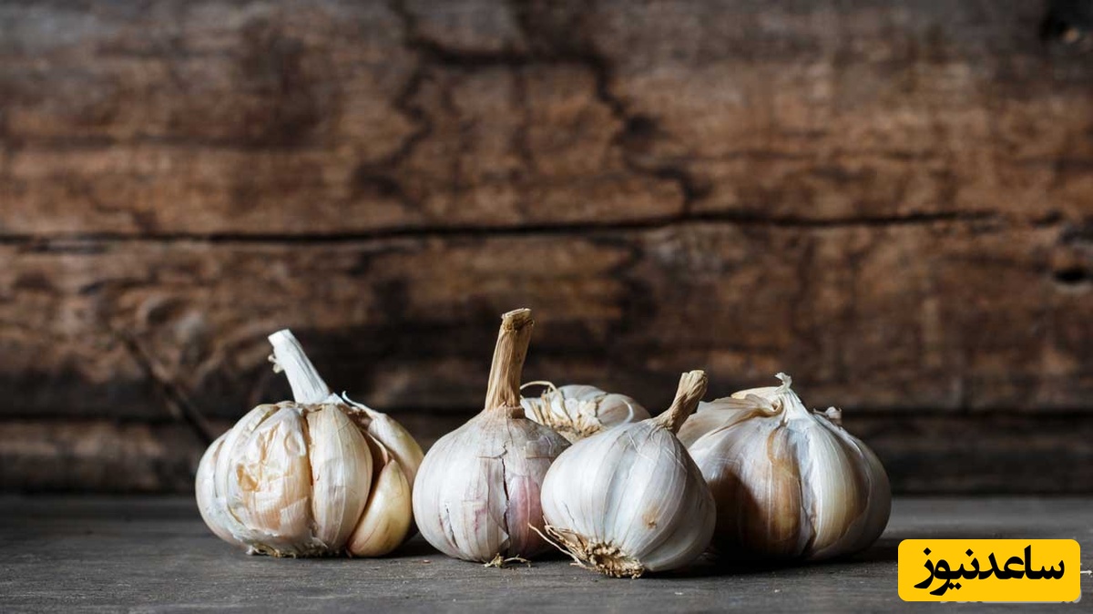 تقویت قوای جنسی زنان و مردان با سیر